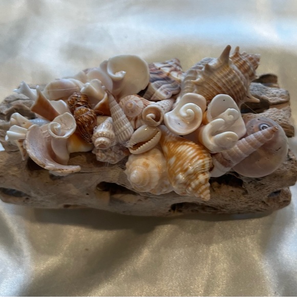 Handmade Seashell Driftwood Art - Picture 3 of 6